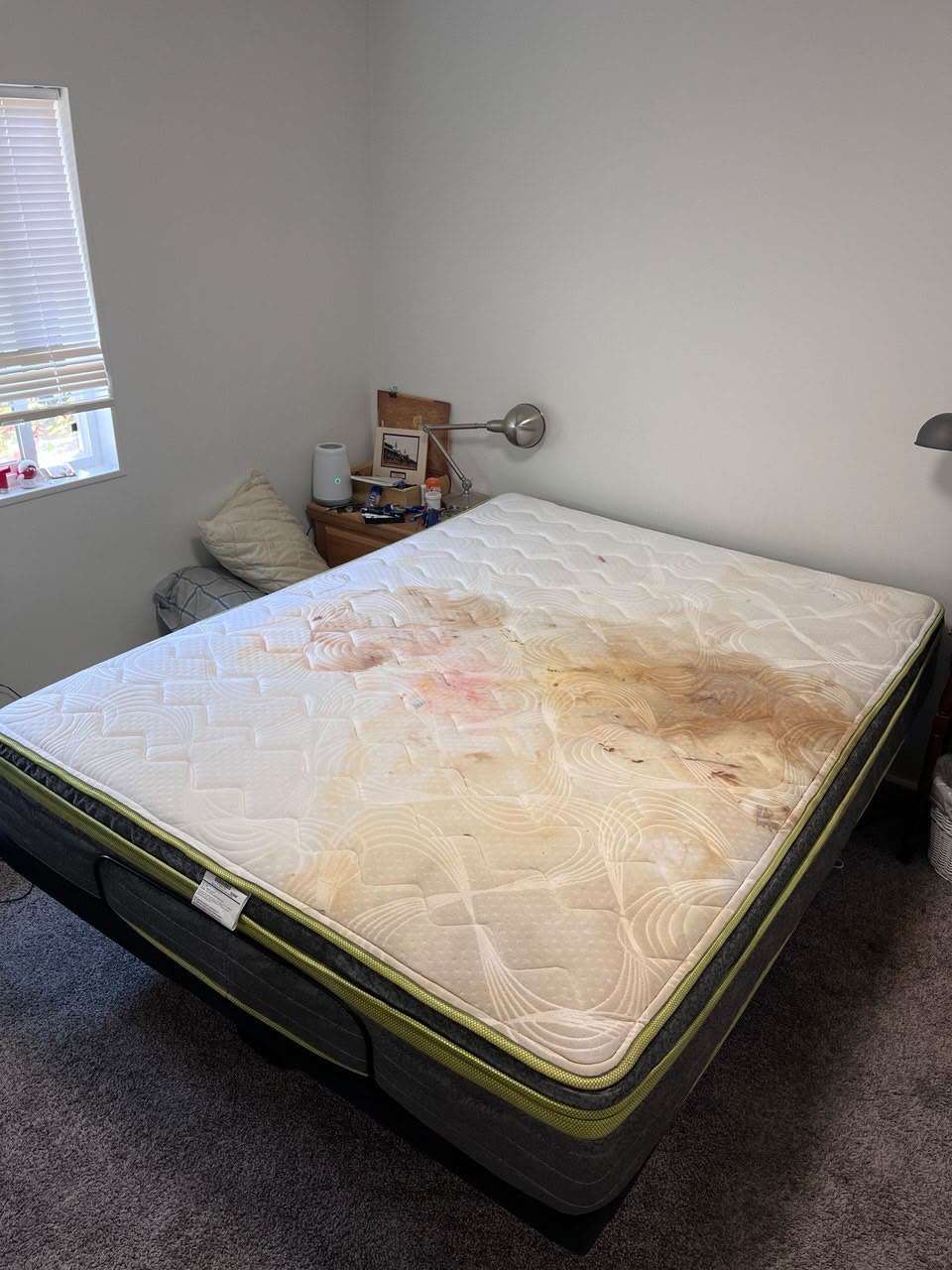 Mattress Deep Clean Before